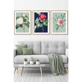 Set of 3 Oak Framed Vintage Flowers Camellia Blue and Green Wall Art