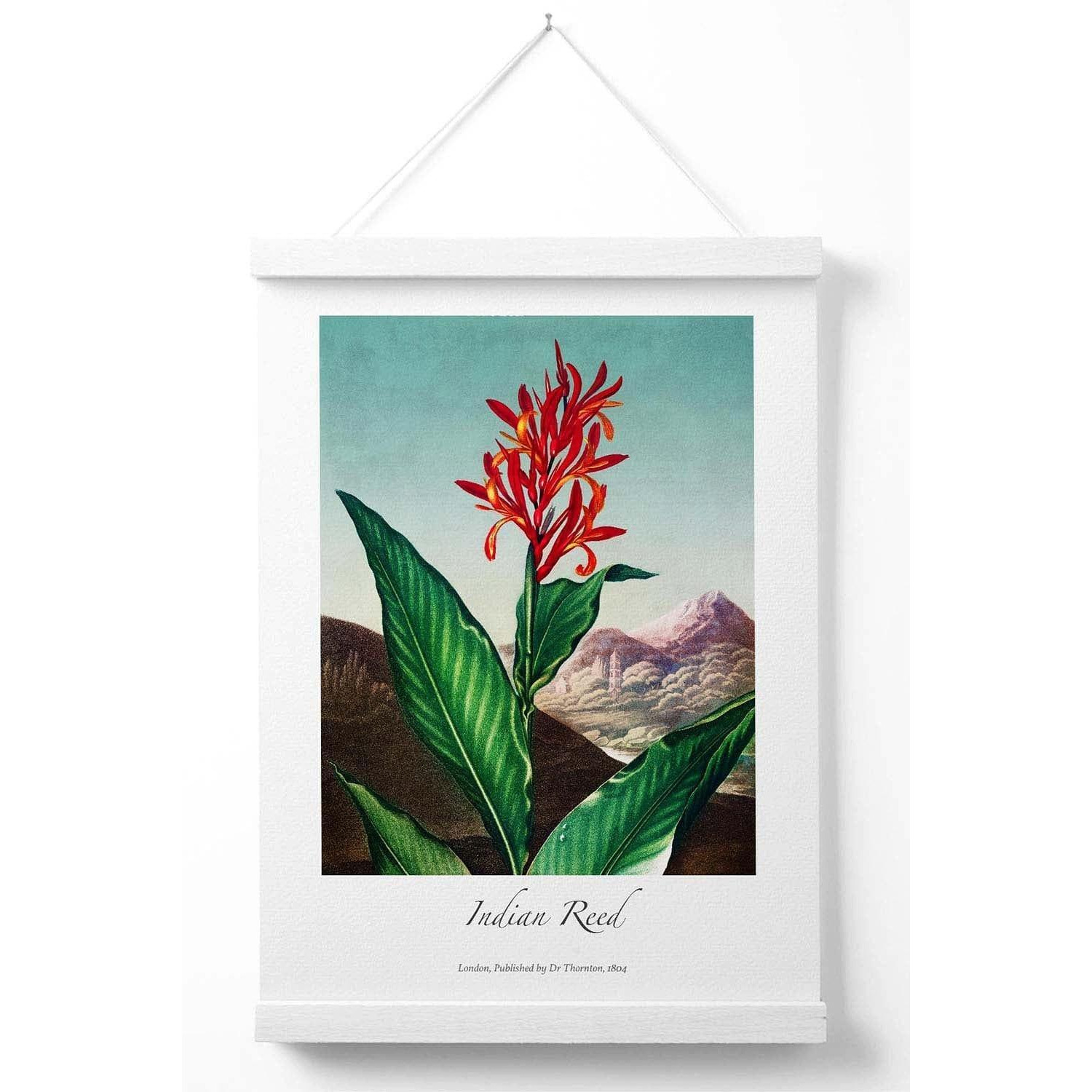 Vintage Floral Exhibition -  Indian Reed Poster with White Hanger - image 1