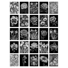 "Wall Art Print 50 Pcs Flower Floral Aesthetic Black White Collage Kit s A6 Set Pack 15x10 cm (6x4"") Wall Home Student Boy Girl Teen Room Elegant" - thumbnail 2