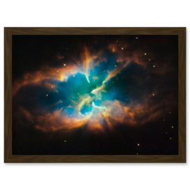 Hubble Space Telescope Image Planetary Nebula NGC 2818 Red Green Blue Gas Cloud Glowing Outer Layers Open Star Cluster Art Print Framed Poster Wall Decor