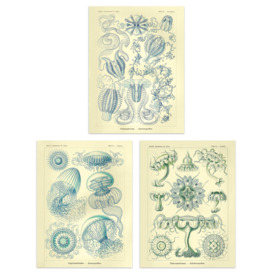 Set of 3 Jellyfish Blue on Yellow Haeckel Vintage Illustrations Detailed Marine Study Unframed Wall Art Living Room Poster Prints Pack