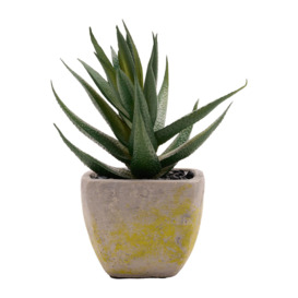 Artificial Succulent Plant in a Grey Pot