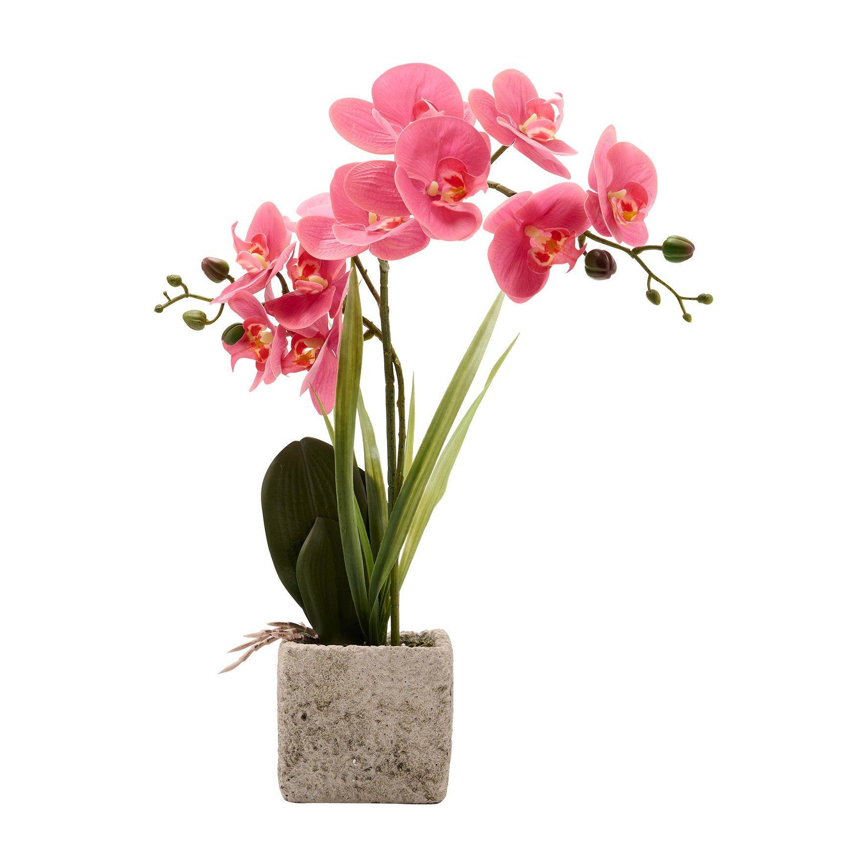 Artificial Dusky Pink  Potted Orchid - image 1