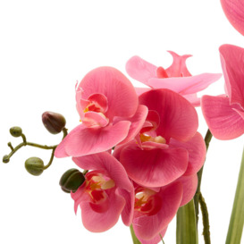 Artificial Dusky Pink  Potted Orchid - thumbnail 3
