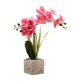 Artificial Dusky Pink  Potted Orchid - thumbnail 2