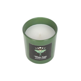 Luna Moth White Sage Scented Candle