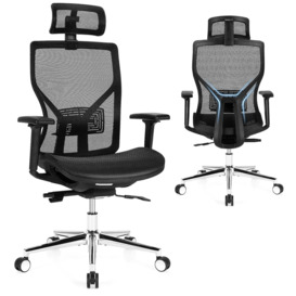 Ergonomic Office Chair High-Back Mesh Executive Chair Adjustable Lumbar Support - thumbnail 1