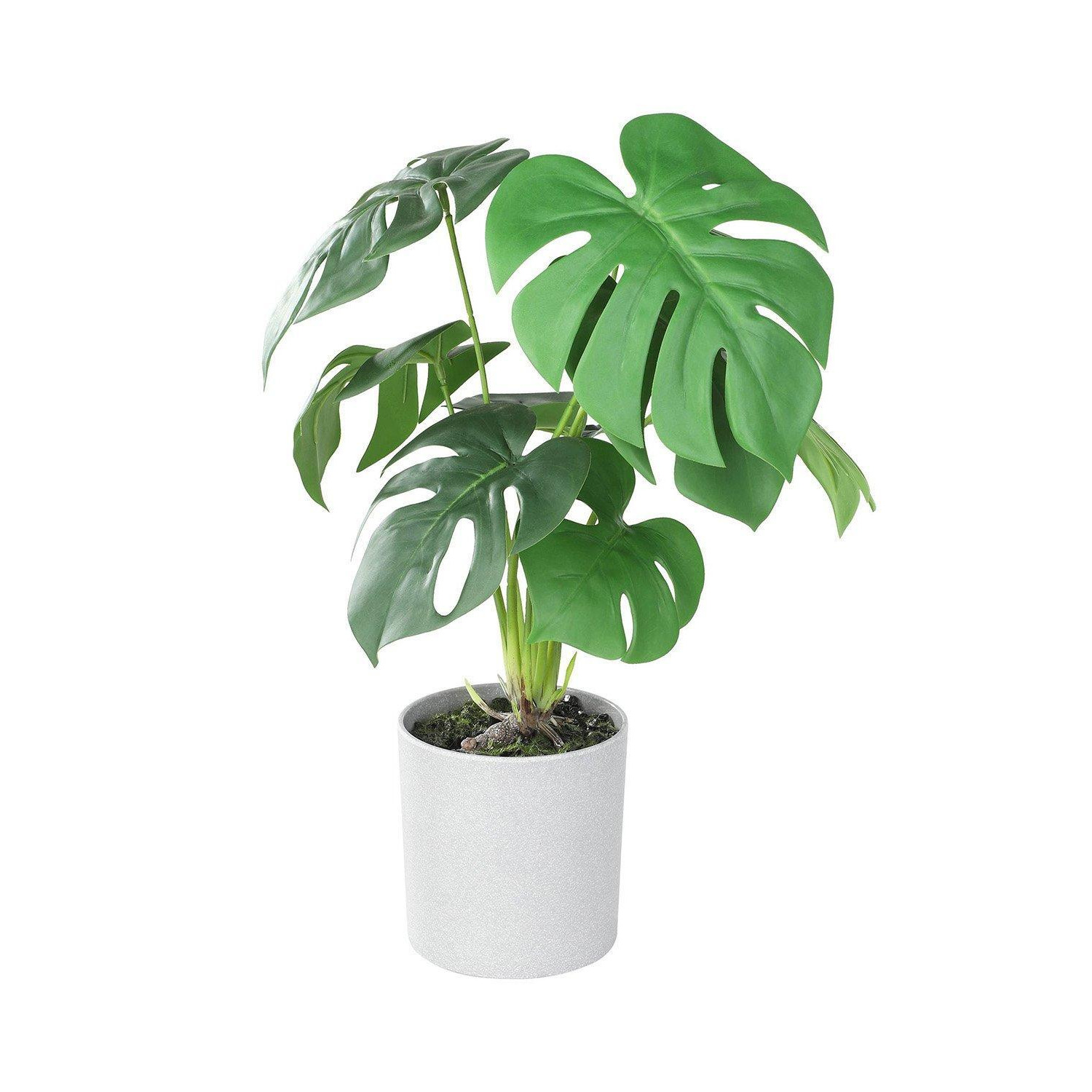 Tobetsu Artificial Swiss Cheese Plant With Grey Plastic Pot - image 1