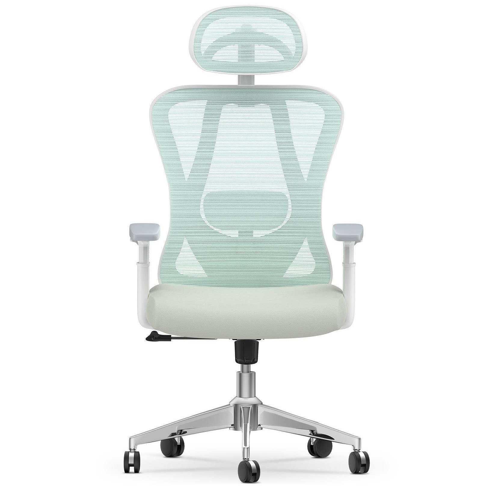 Ergonomic Mesh Office Chair High Back  with Adjustable Headrest, Armrests, Lumbar Support - image 1