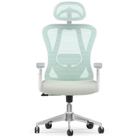 Ergonomic Mesh Office Chair High Back  with Adjustable Headrest, Armrests, Lumbar Support - thumbnail 1