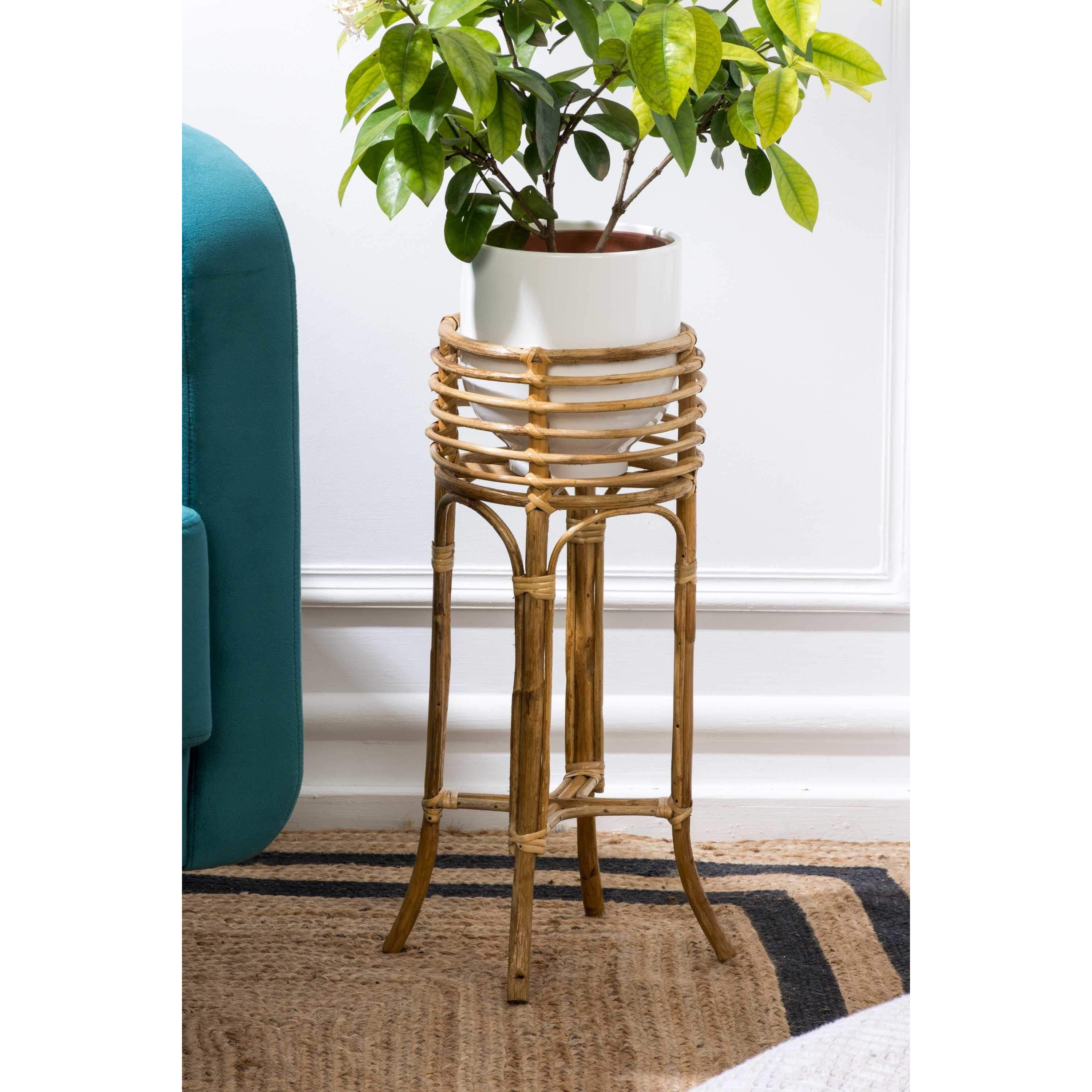 Lightweight Cane Plant Stand - image 1