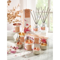 Best Kept Secrets Heather Grace Natural Harmony Candle Tin - 240g - thumbnail 2