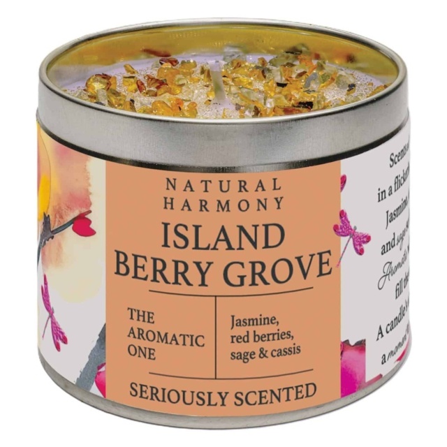 Best Kept Secrets Island Berry Grove Natural Harmony Candle Tin - 240g - image 1