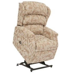 Celebrity Westbury Rise and Recliner Chair Zipspeed - Standard - Fabric - Dual Motor Rise and Recliner