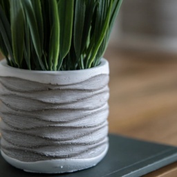 Grass in Wavy Pot Small 2 Pack - thumbnail 2