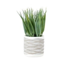Grass in Wavy Pot Small 2 Pack - thumbnail 1