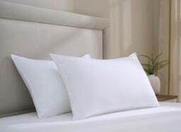 Dream Team Ultimate Washable Pillow Pair - thumbnail 2