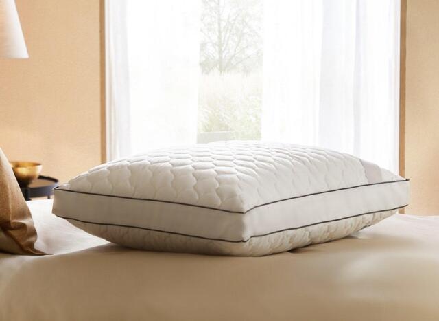Sealy Side Sleeper Pillow - image 1