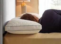 Sealy Side Sleeper Pillow - thumbnail 2
