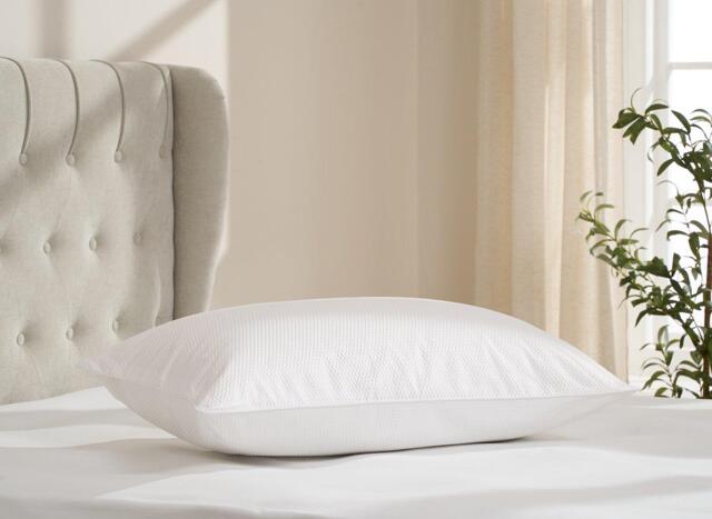 Dreams Extra Firm Support Pillow - image 1