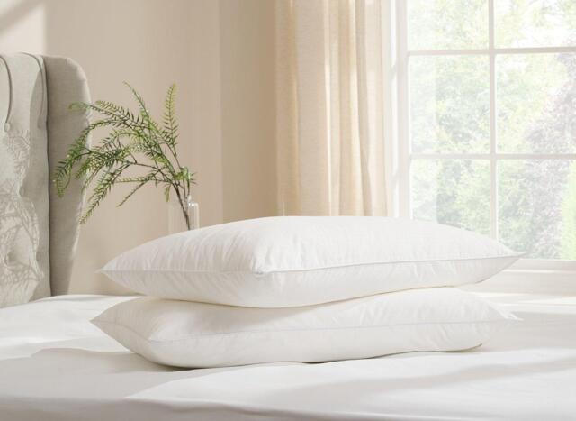 TheraPur Cool Fibre Pillow Pair - image 1