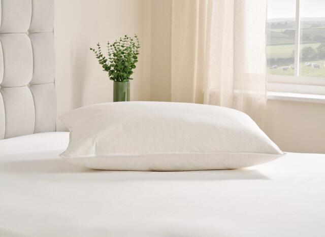Flaxby Goose Feather & Down Pillow - image 1