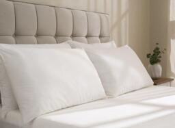 Dreams Cotton Comfort Pillow 4 Pack - thumbnail 2
