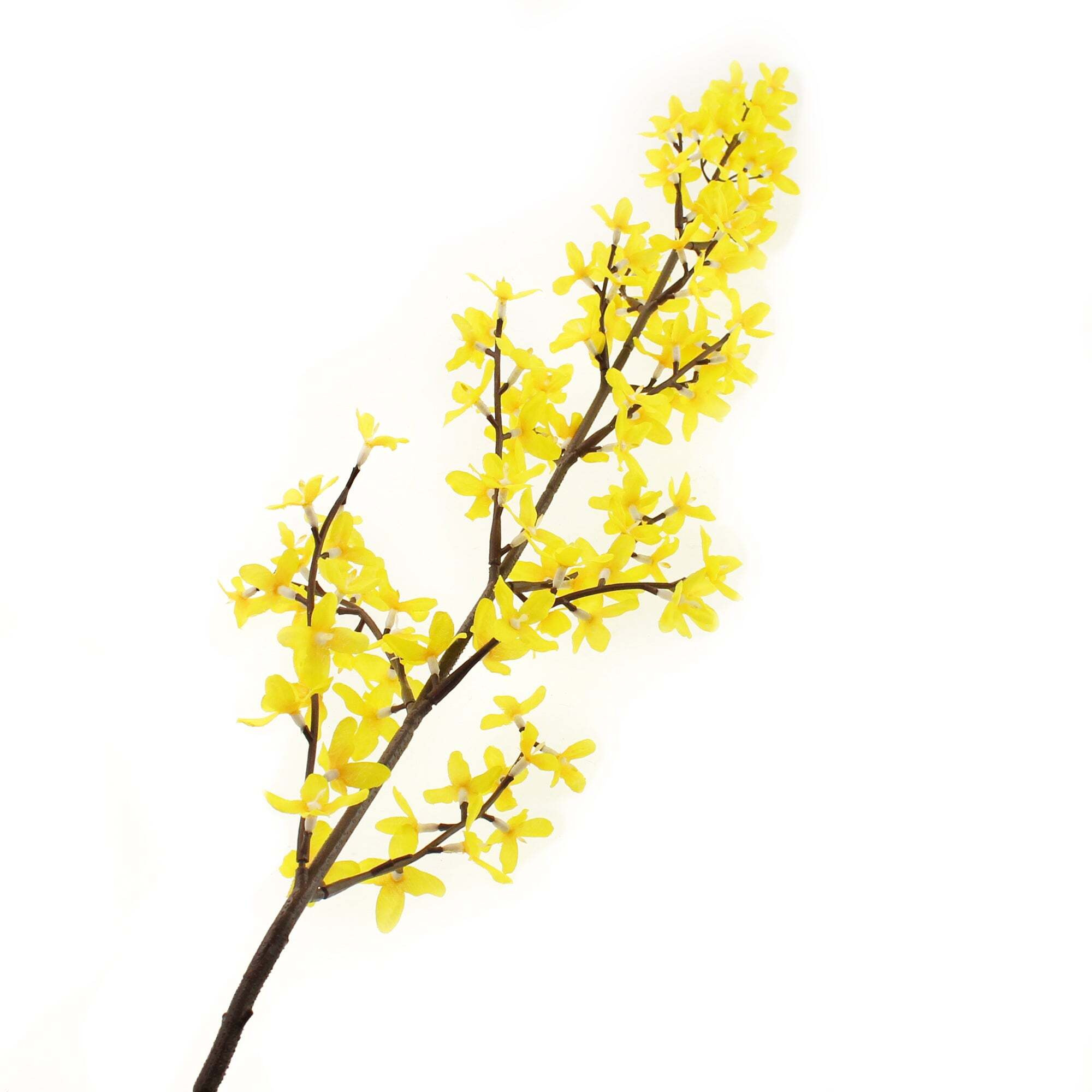 Forsythia Yellow Spray 103cm Yellow