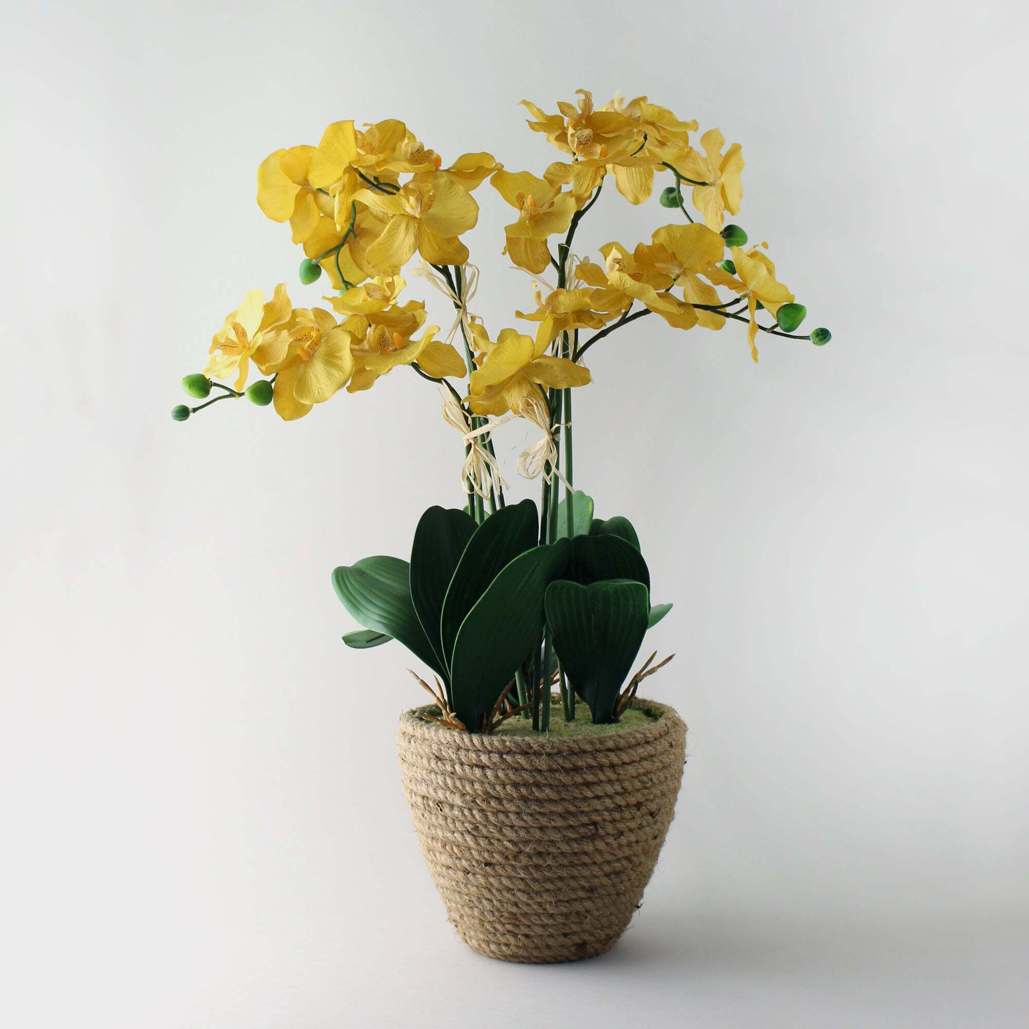 Artificial Orchid Ochre in Jute Basket 70cm Yellow