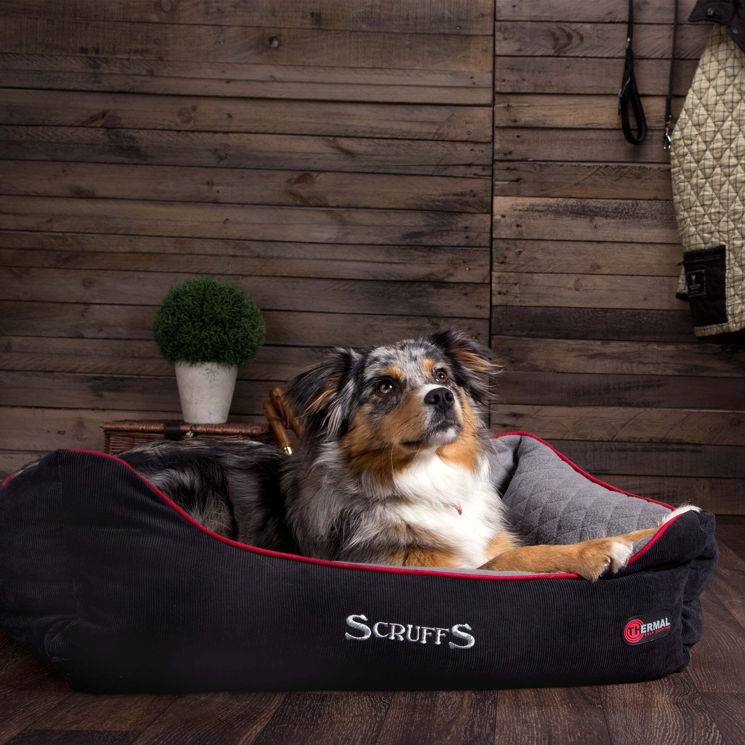 Scruffs Pet Thermal Box Bed Black