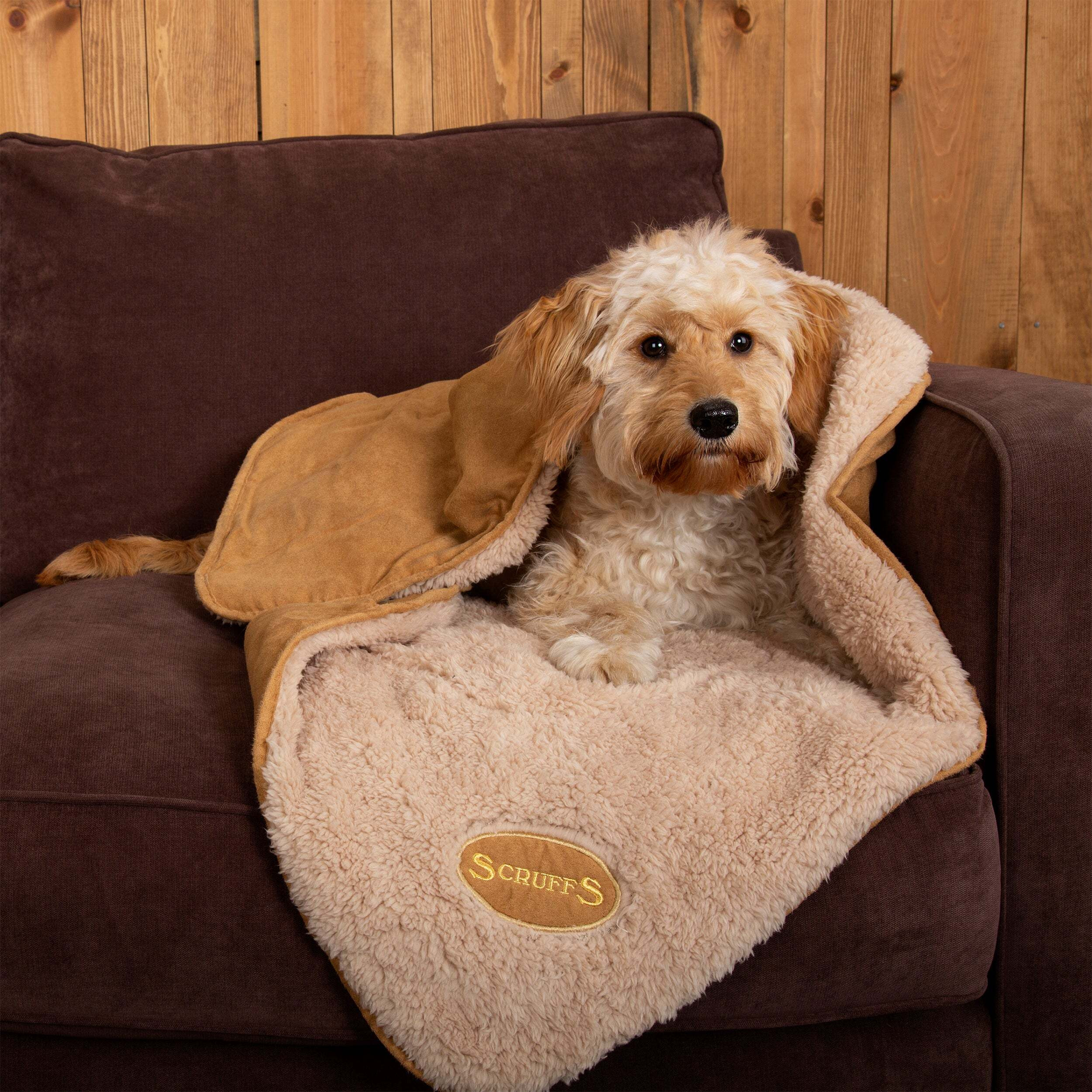Scruffs Snuggle Dog Blanket Brown