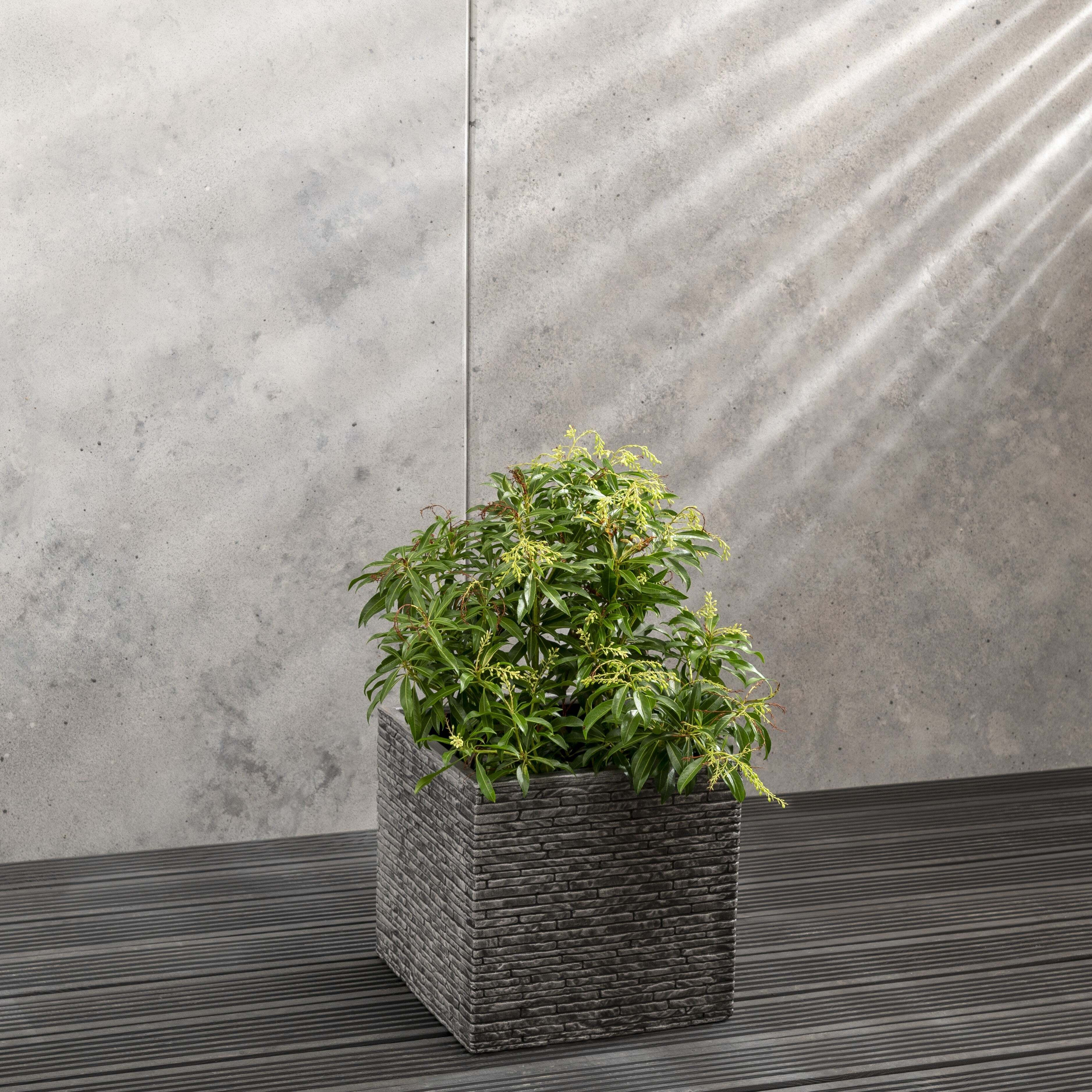 Slate Planter Square Grey