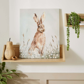 Hare Canvas 40x50cm Brown