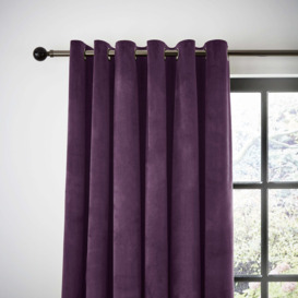 Recycled Velour Aubergine Eyelet Curtains Purple
