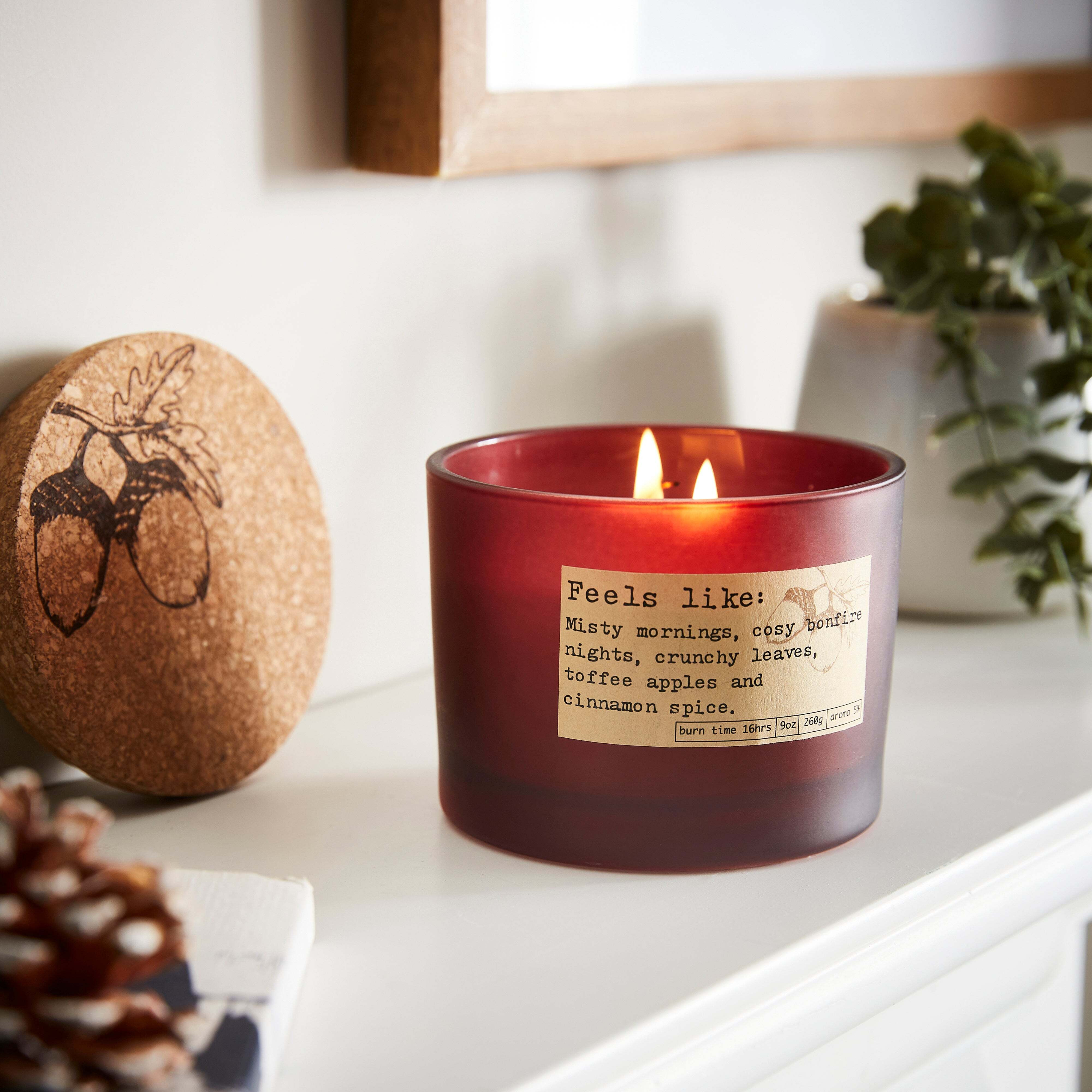Cinnamon Wick Candle Red