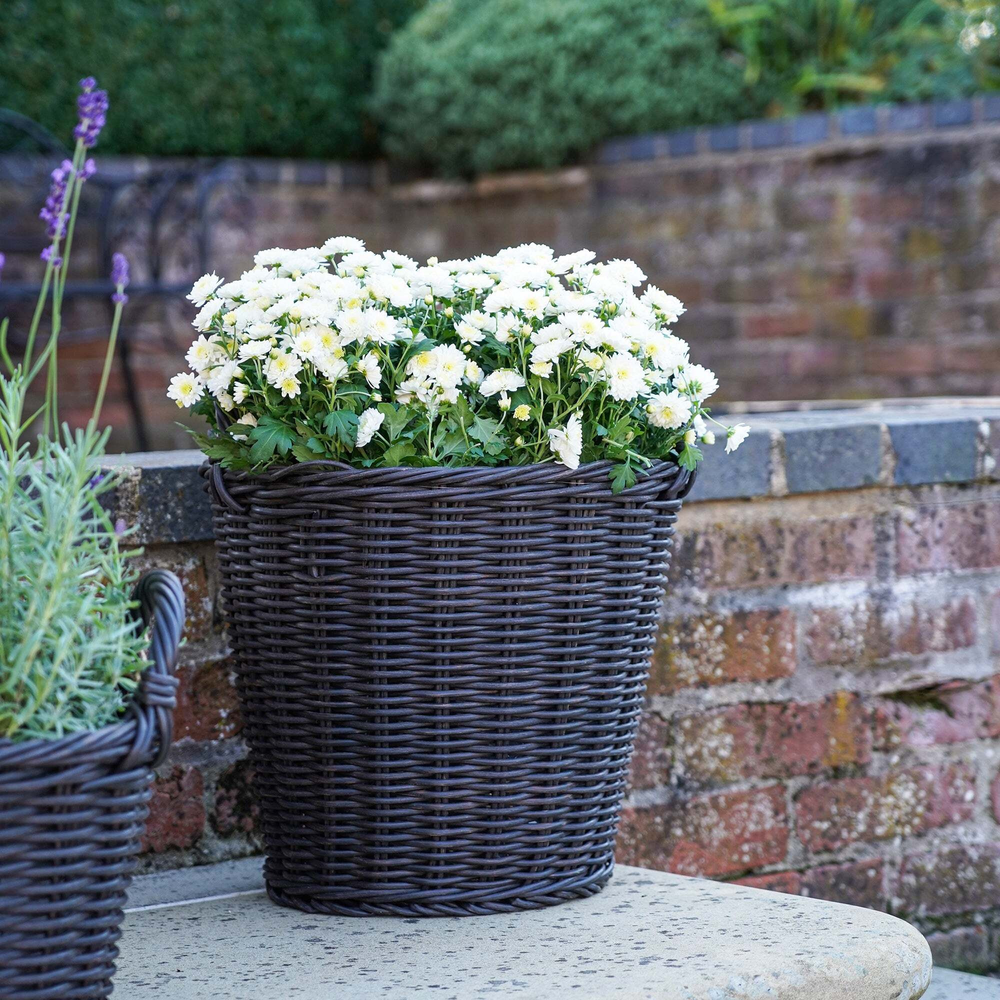 Polyrattan Lined Basket Planter Dark Grey