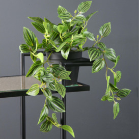 Artificial Green Trailing Plant in Black Pot Green