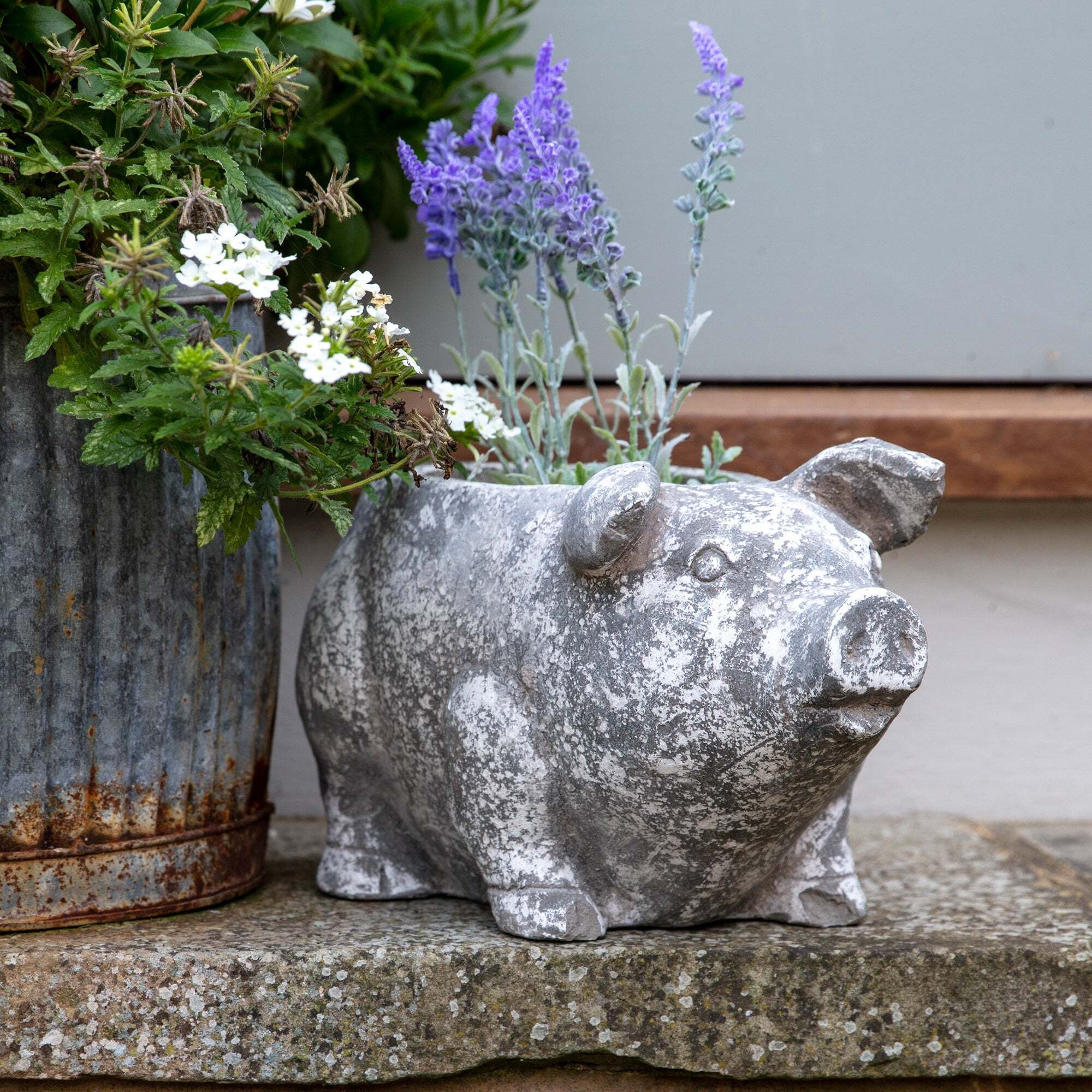 Allesley Large Cement Plant Pot Silver