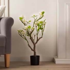 Artificial Cream Magnolia Tree in Black Plant Pot Cream