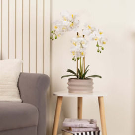Artificial White Phalaenopsis Orchid in Taupe Ceramic Plant Pot White