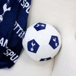 Tottenham Hotspur Line Cushion - thumbnail 1