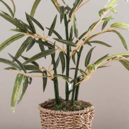 Artificial Small Bamboo in Woven Plant Pot - thumbnail 3