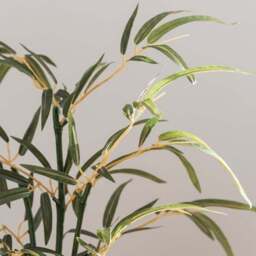 Artificial Small Bamboo in Woven Plant Pot - thumbnail 2