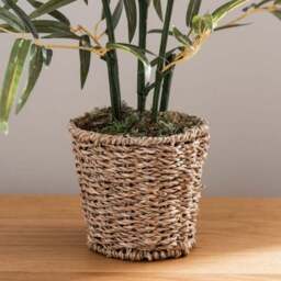 Artificial Small Bamboo in Woven Plant Pot - thumbnail 4