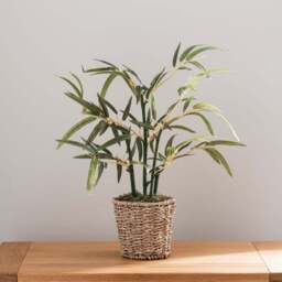 Artificial Small Bamboo in Woven Plant Pot - thumbnail 5