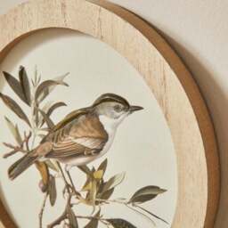 Set of 3 Birds In The Trees Circular Framed Prints - thumbnail 2