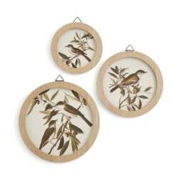 Set of 3 Birds In The Trees Circular Framed Prints - thumbnail 3