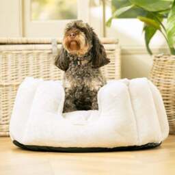 Lords and Labradors High Wall Dog Bed - thumbnail 2