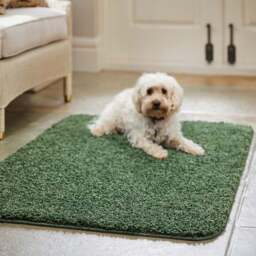 Marvel Shaggy Washable Rug - thumbnail 2