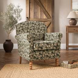 Enya Vintage Pod Print Scroll Armchair